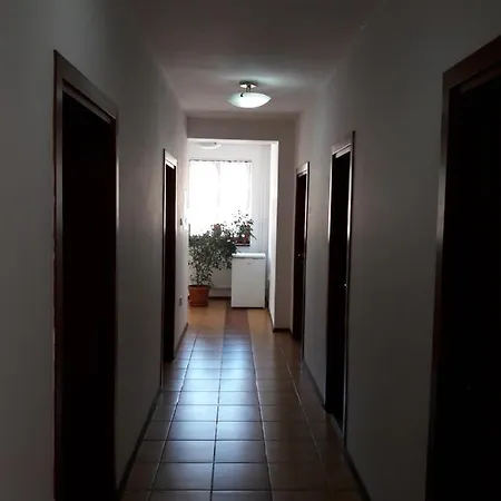 A Tavros